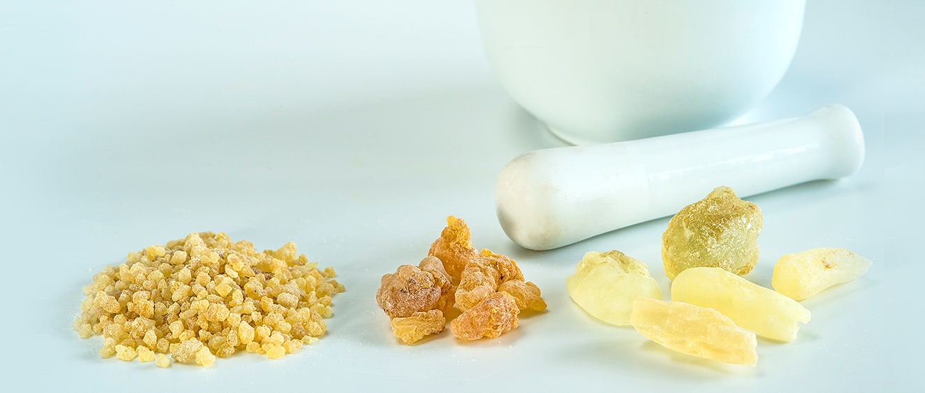 Article_Top_banner_Boswellia_Serrata_Ingredients_on_table-min.jpg